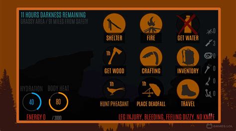 wilderness survival simulation game.